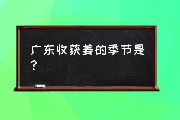 广东2月份春天适合种什么菜 广东收获姜的季节是？