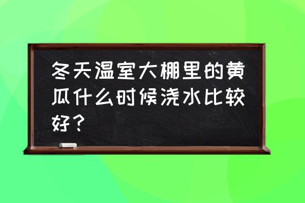 中国哪里是冬天产黄瓜大省 冬天温室大棚里的黄瓜什么时候浇水比较好？